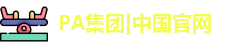 PA集团